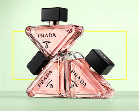 prada paradoxe dm|prada paradoxe muse.